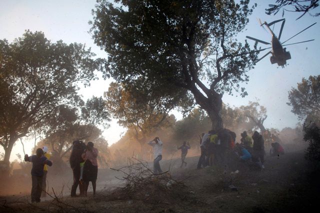 People cling to a tree as a U.S. helicopter, carrying disaster relief supplies, flies over a refugee camp in Port-au-Prince.
